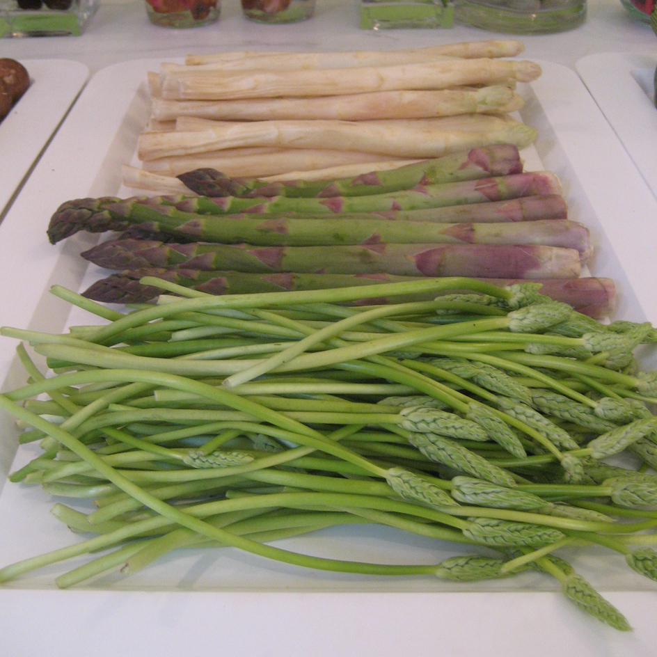 Asparagus plant