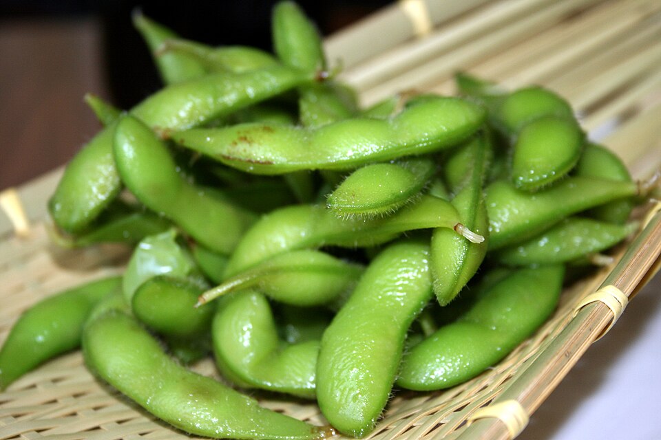 Edamame (Soybean) plant