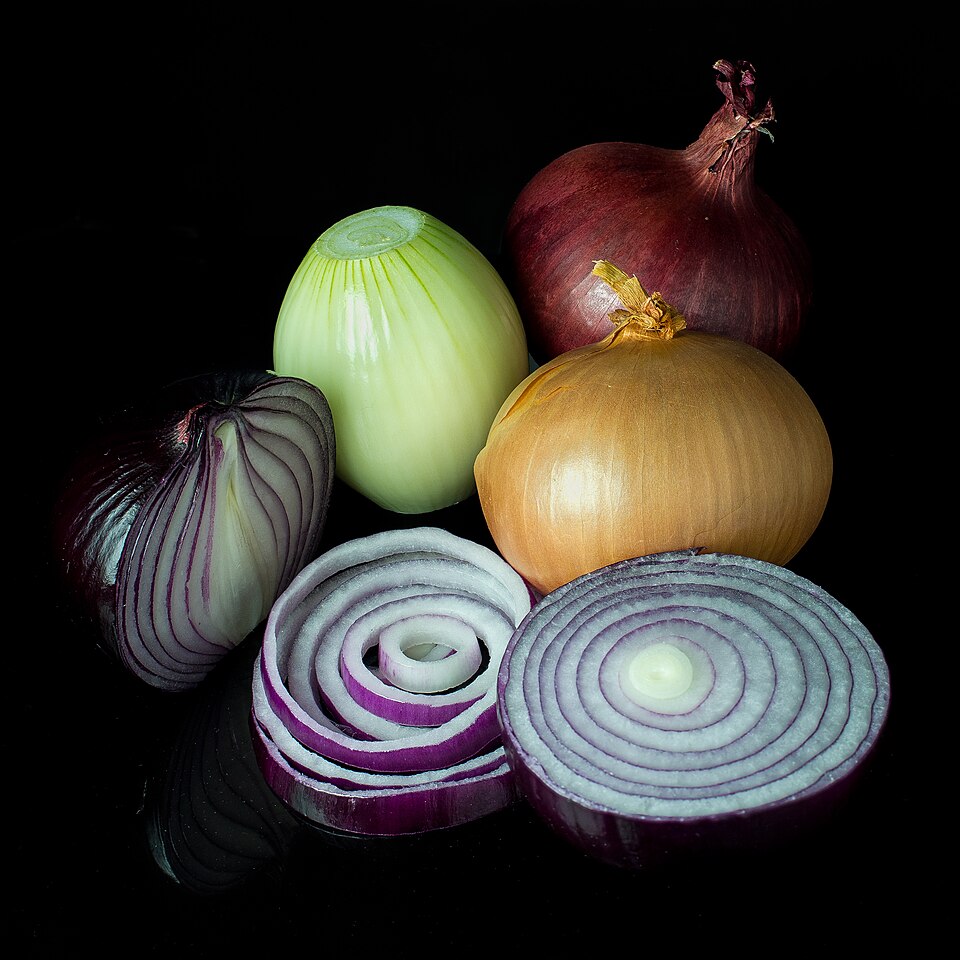 Onion plant