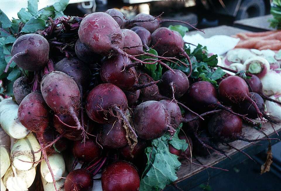 Radish plant