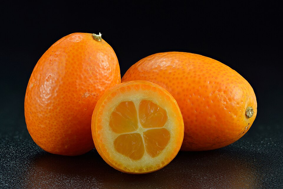 Kumquat fruit